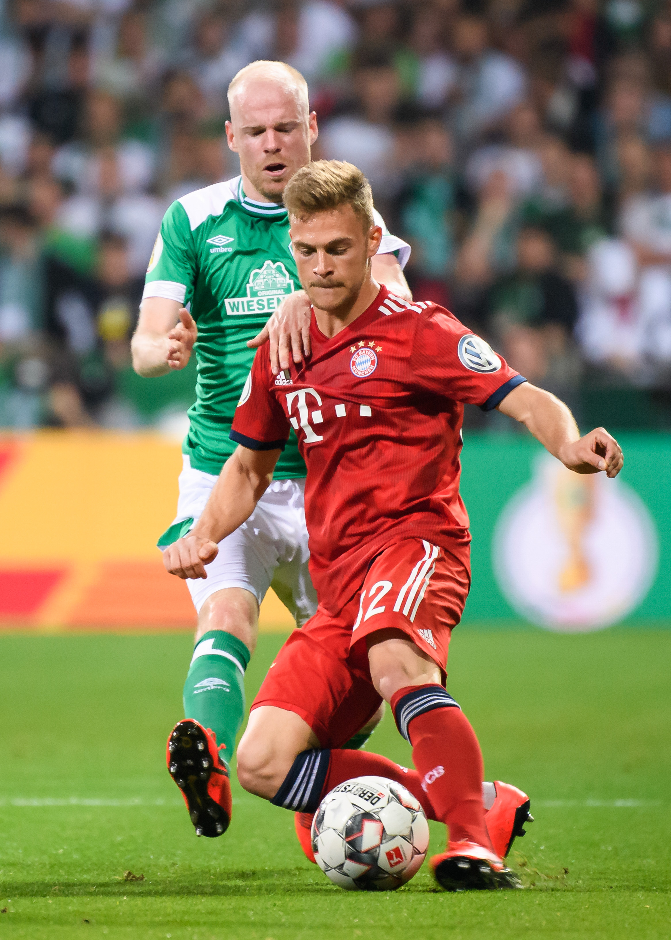 界从来不是 界从来不是