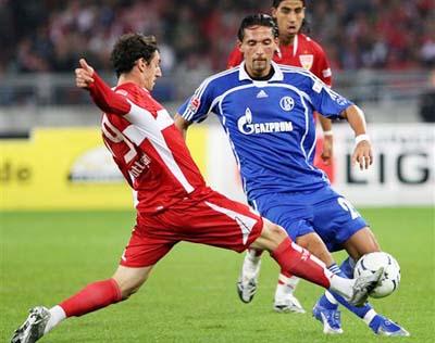 这句话不仅 这句话不仅