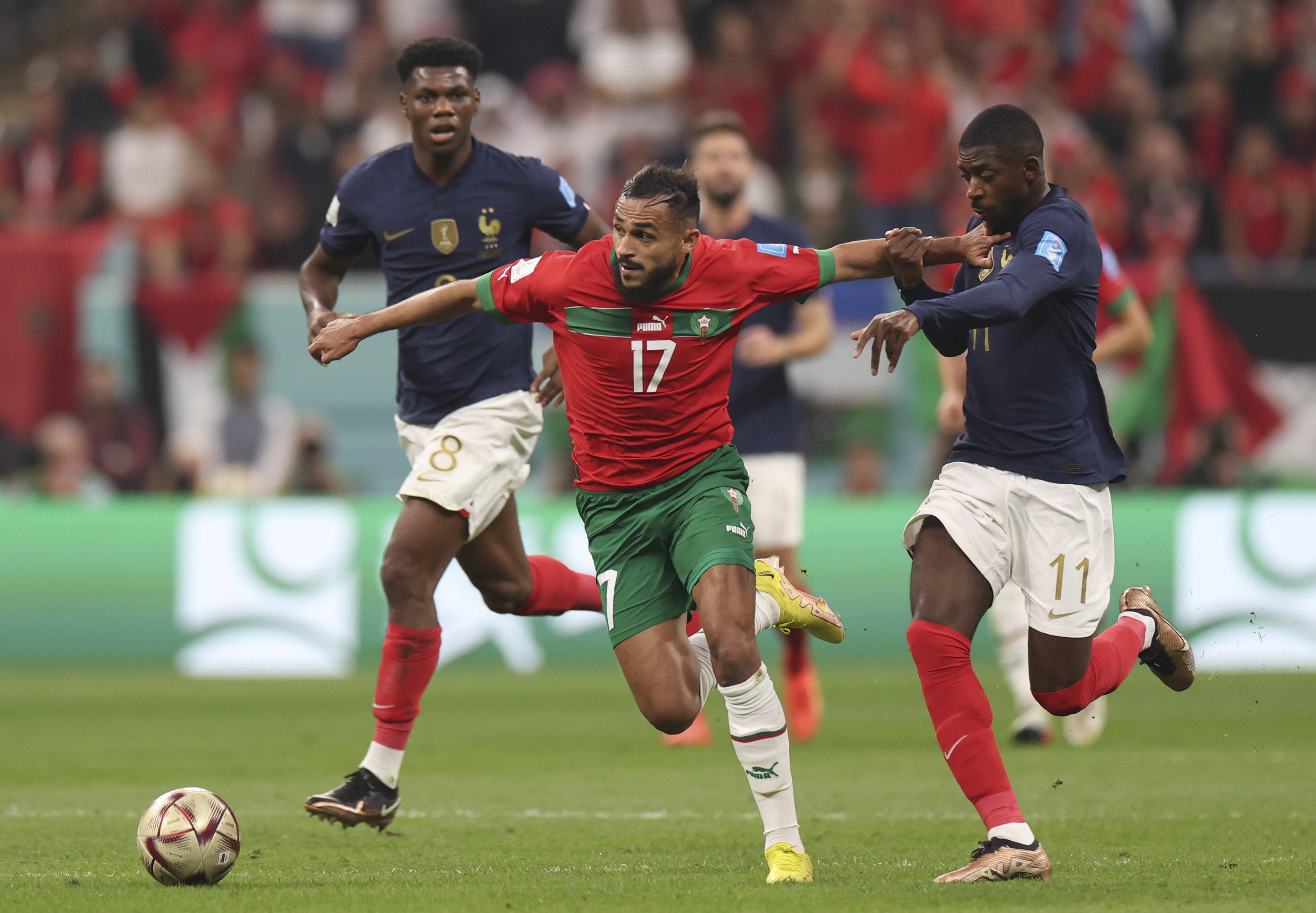 这一细节再 这一细节再