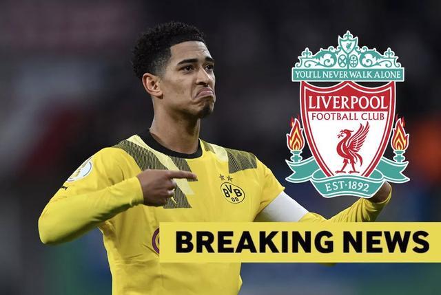 的生动注脚 的生动注脚